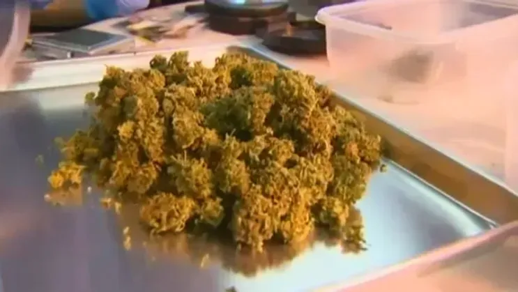 Legalizing marijuana is not that cut and dry